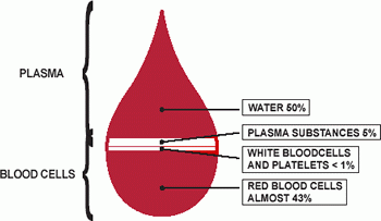 bloodComponents.gif